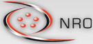 NRO logo.png